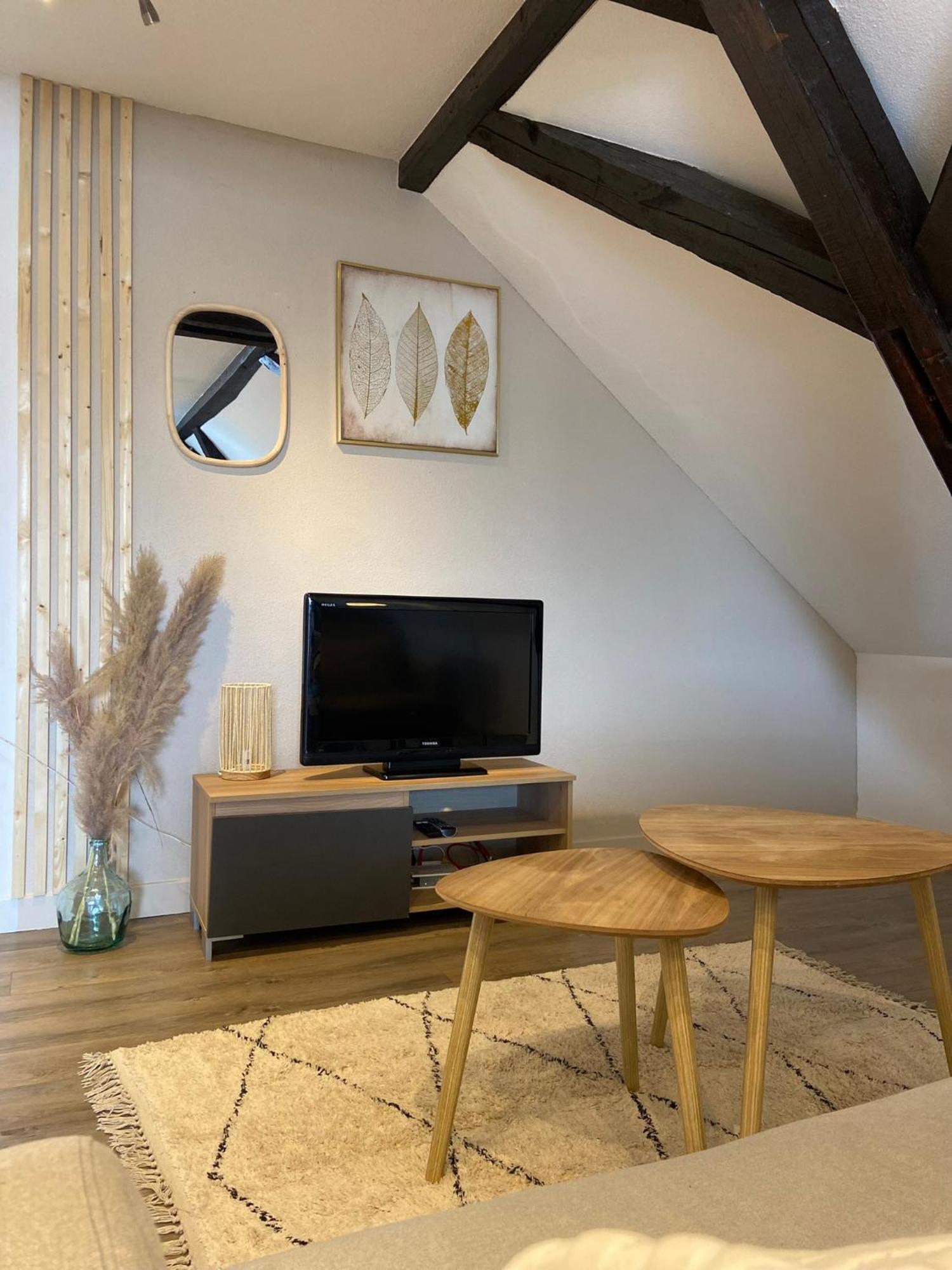 Bel Appartement 2 Pieces Soufflenheim المظهر الخارجي الصورة